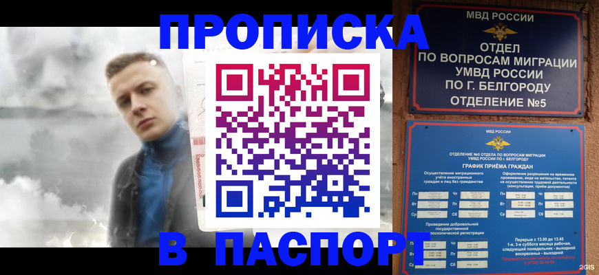 временная регистрация в Михайловске